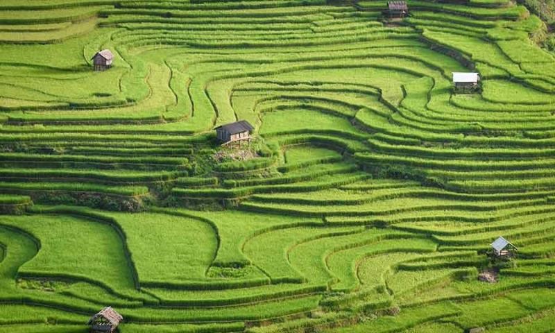 背景：草原